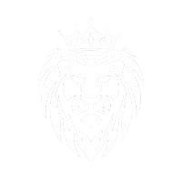 Lioneve Media